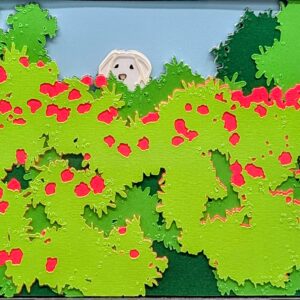 Peeking Over the Roses